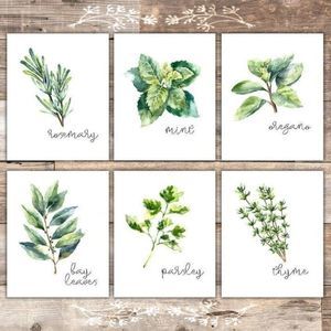 Kitchen Herbs Wall Art Prints Set of 6